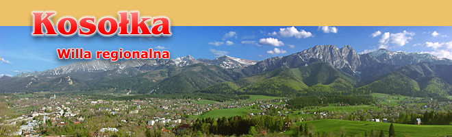 pokoje, zakopane, kosołka